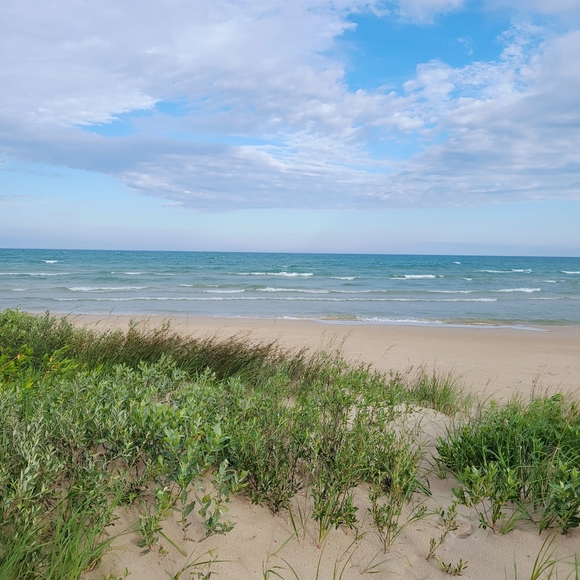 Meet your Posher, Kelly - Picture 2 of 2